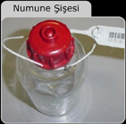 Numune iesi